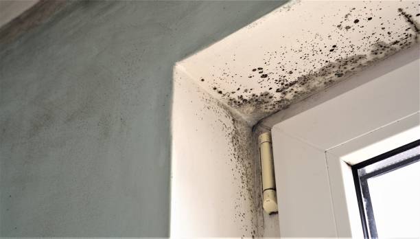 Best Airborne Mold Testing  in Stonebridge, NJ