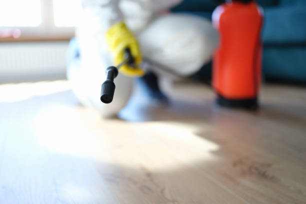 Best Water Damage & Mold Remediation  in Stonebridge, NJ