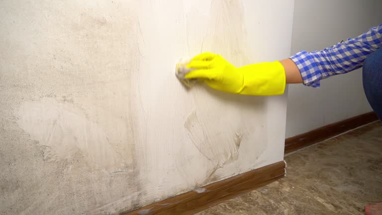 Best Mold-Related Health Consultation  in Stonebridge, NJ