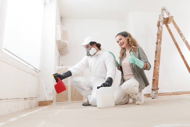 Best Environmental Consulting for Mold Prevention  in Stonebridge, NJ