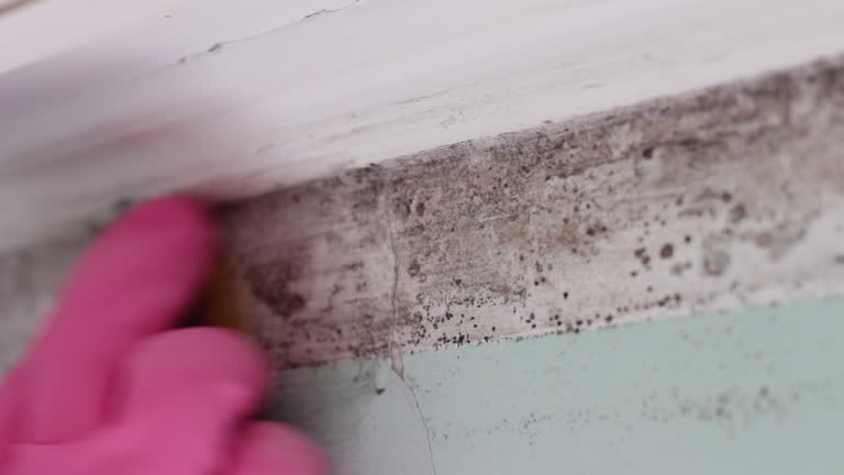 Best Industrial Mold Remediation  in Stonebridge, NJ